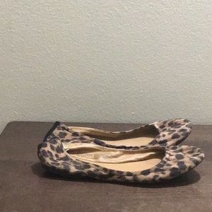 Leopard shoes